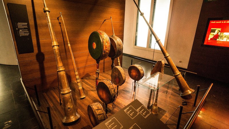 Musical Instruments in Brussels exhibits displayed