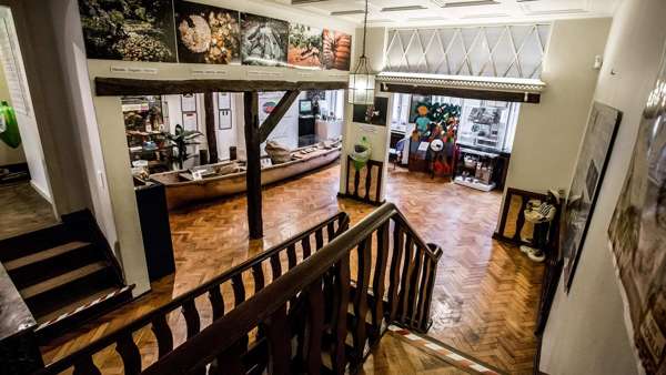 Brussels Museum of cocoa and chocolate interior