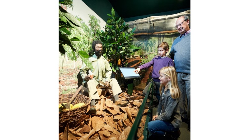 Brussels Museum of cocoa and chocolate history of chocolate import